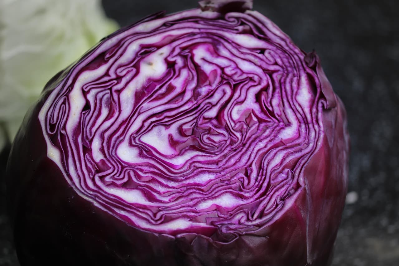 Guide Pratique pour Cultiver des Légumes en Permaculture