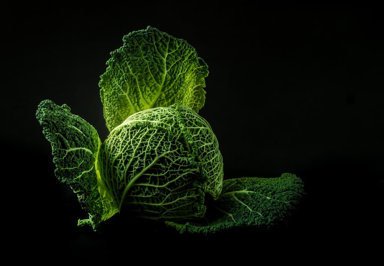 Tout Savoir Sur le Guide des Légumes : Culture et Entretien