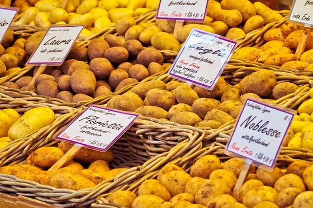 Guide Complet pour Cultiver des Légumes Santé