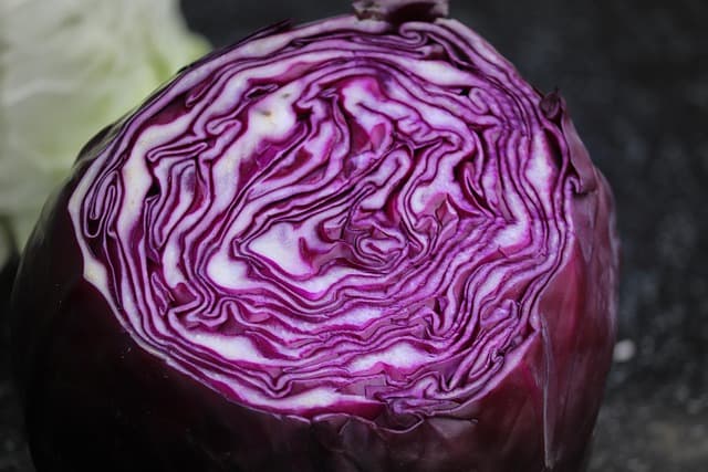 Guide Complet pour Cultiver des Légumes d'Hiver