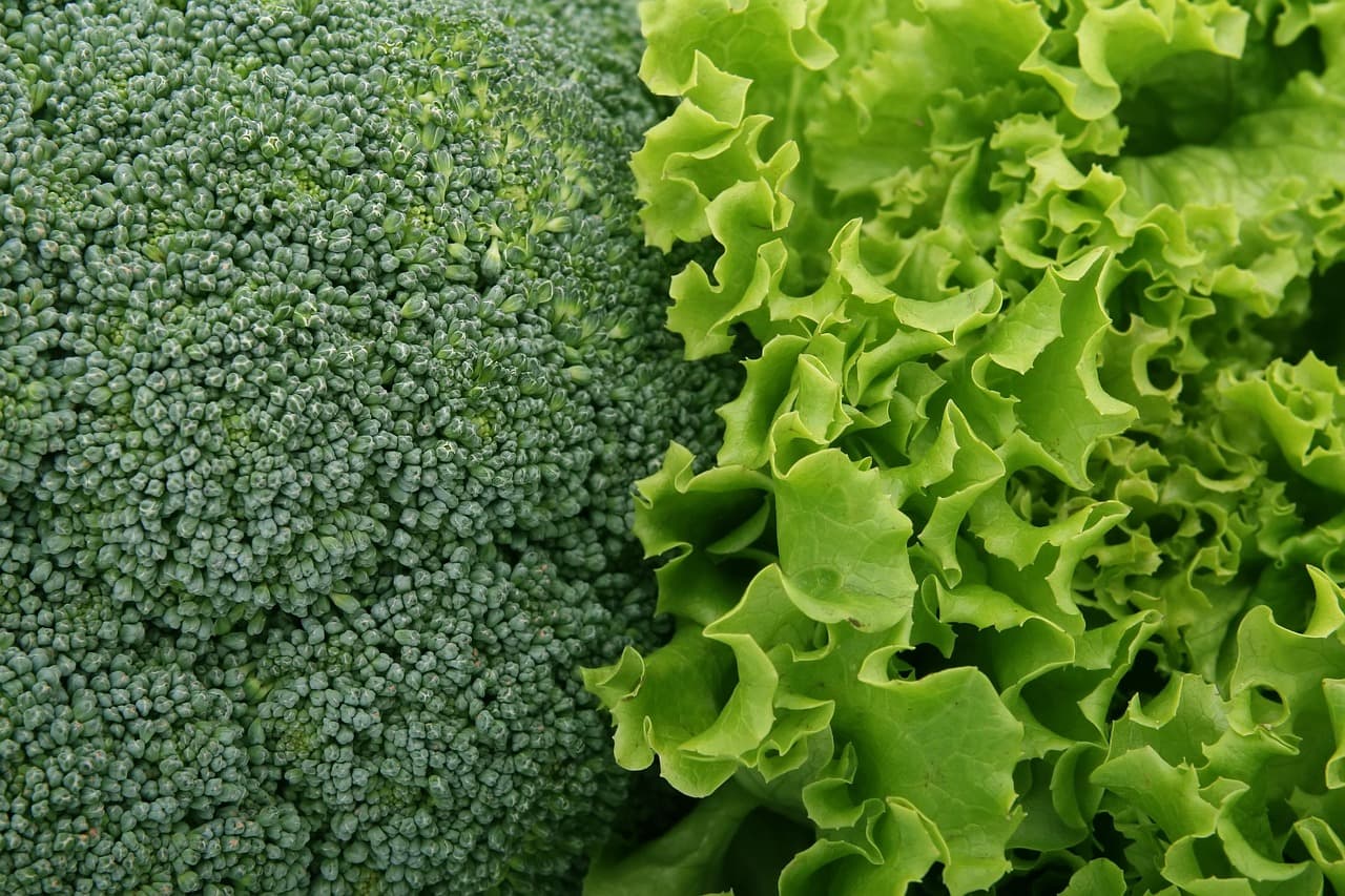 Guide Pratique pour Bien Choisir Vos Légumes à Semer