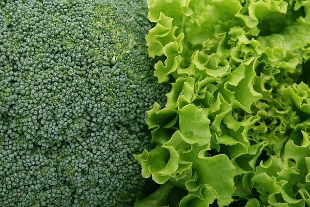 Le Guide Complet des Légumes à Cultiver en Intérieur