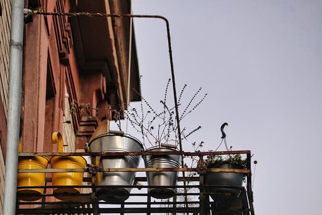 Guide Pratique pour Cultiver des Légumes sur un Balcon