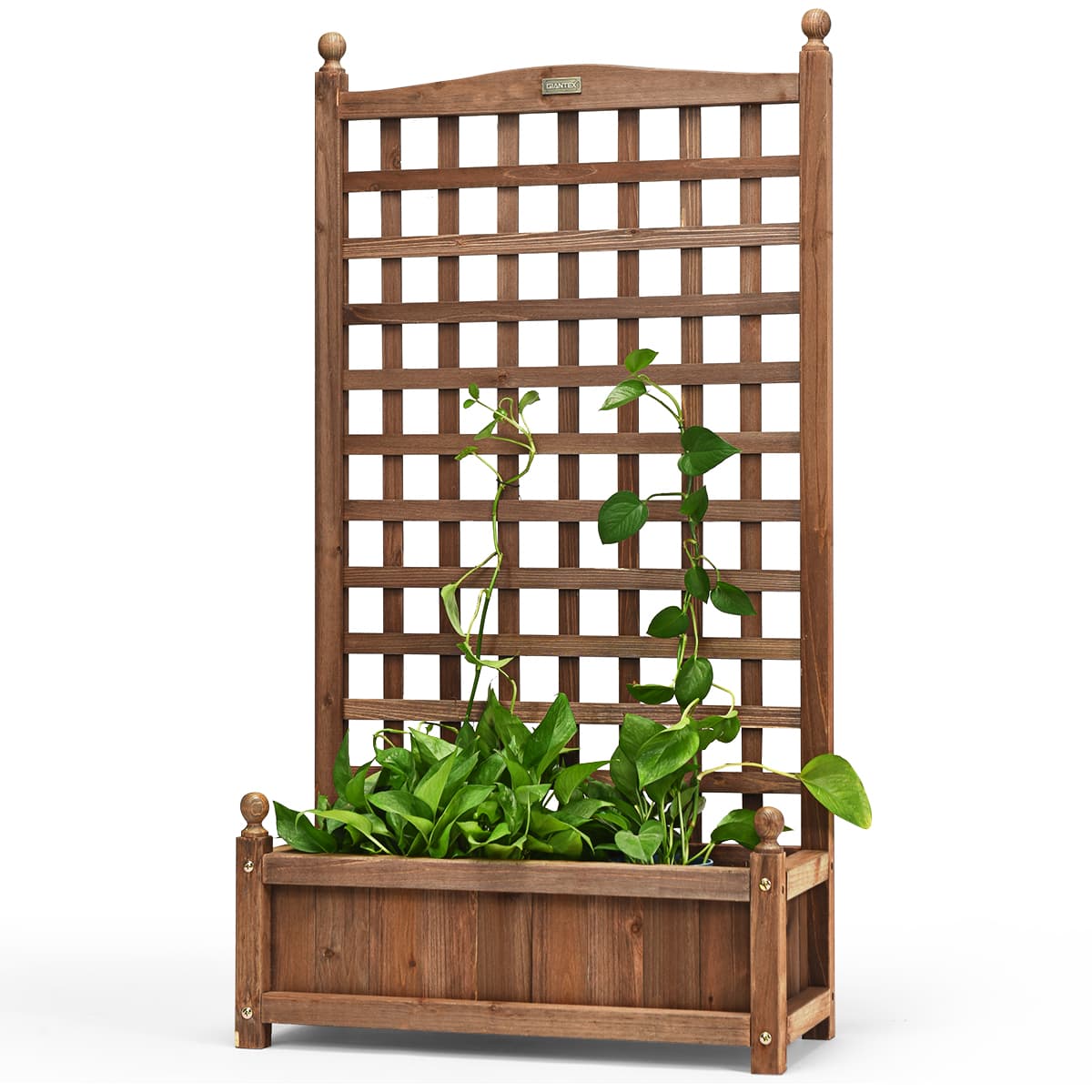 CostwayJardinière avec Treillis en Bois de Sapin Bac à Fleurs Résistant aux Intempéries pour Plante Grimpante Vigne Fleurs 63,5 x 28 x 122 cm Marron